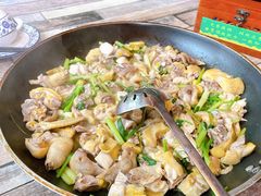 -食德喜·阳山鸡王食研基地