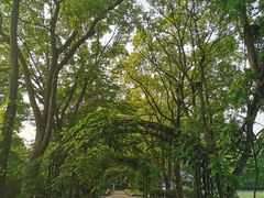 -上海月湖雕塑公园