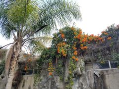 -北海市海滨公园