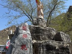 -大岭沟猕猴桃谷风景区