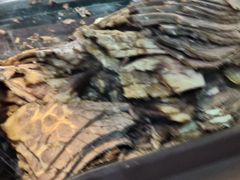 -清真·苍鹰蓬灰牛肉面(盐场路店)