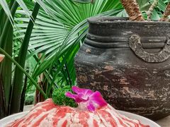 -悦见花开·花园里的火锅·露营·下午茶