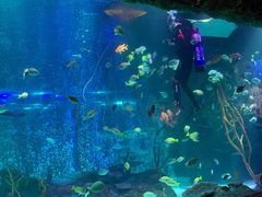 -沈阳海洋探索中心