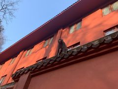 -黔灵山公园