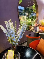 -花隐·美芙炫海菲秀皮肤管理中心