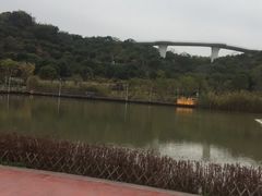 -飞凤山奥体公园