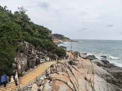 -广东惠东海龟国家级自然保护区