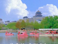 -莲花池公园