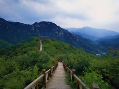 -大岭沟猕猴桃谷风景区
