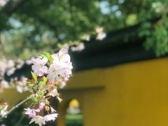 -西园寺