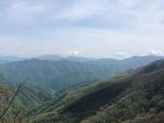 -牛背梁国家森林公园
