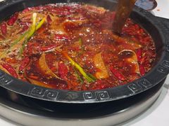 -卤校长老火锅(杨家坪直营店)