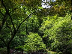 -杭州半山国家森林公园