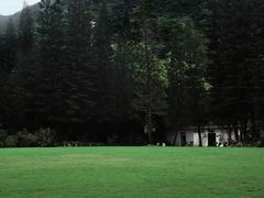 -深圳仙湖植物园