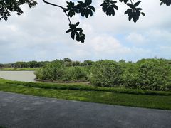 -万绿园