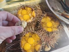 -三个渔夫·蒸汽海鲜(小白楼店)