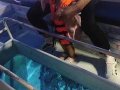 -暹罗海洋世界