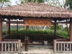 -美的鹭湖森林度假区