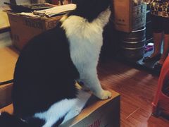 iphone_upload_pic-樱の花亭日本料理店