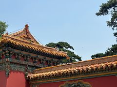 -北陵公园