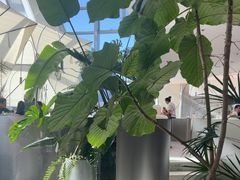 -枕水江南(铁西万象汇店)