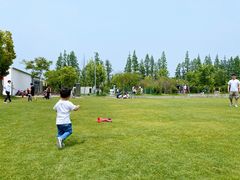 -前小桔亲子创意农场·草莓采摘·露营烧烤