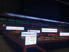 -极限PLAY运动娱乐新世界·团建派对潮玩休闲馆·室内蹦极高空游乐园