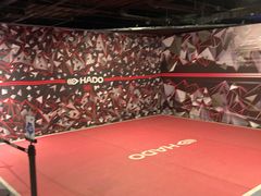 -VS SPORTS PARK运动玩乐园·团建·生日会(合生汇店)