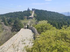 -原山国家森林公园