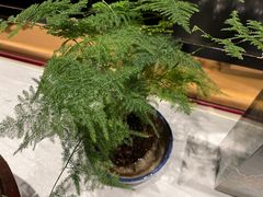 -南堂館川菜文化餐厅(天府店)