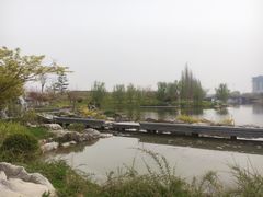 -桃花岛公园