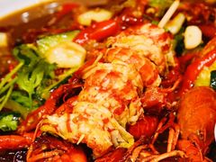 -杨氏青龙虾·羊蝎子(托乐嘉店)