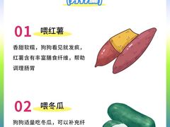 -爱侣·安琦尔宠物医院·中兽医针灸·心内科·狂犬免疫点(宝山区院)