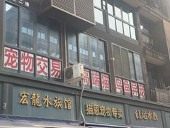 -青石桥花鸟鱼虫市场(叠翠城店)