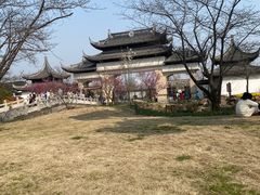 -苏州上方山国家森林公园