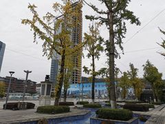 -百林公园-两江幸福广场