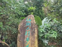 -深圳仙湖植物园