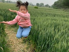 -西青郊野公园