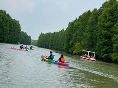 -上海海湾国家森林公园