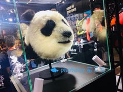 -东浩兰生上海世博展览馆