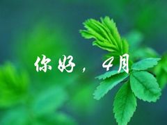 -HiIbiza酒吧