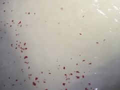 -西安国际创新人才交流中心•药浴温泉