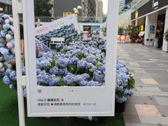 -HALO广场(梨园路店)