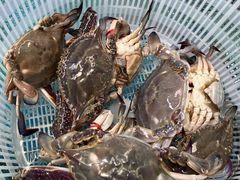-渔民船说·北塘海鲜·天津菜·海肠捞饭(北塘古镇店)
