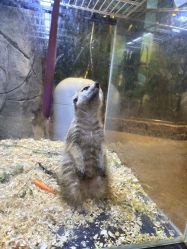 点击看大图 -宝燕乐园(闵行旗舰店)