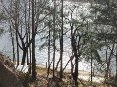 -秦岭终南山世界地质公园翠华山景区