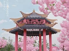 -桂溪生态公园