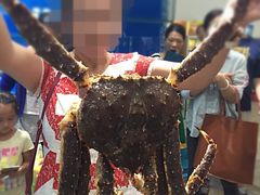 -蚝专家(北滘店)