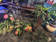 -红蜡烛-养生粥-津鲁菜(中山路店)