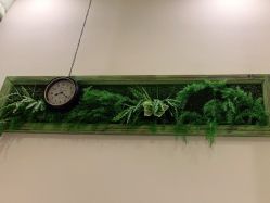 -芳朵美容养生SPA